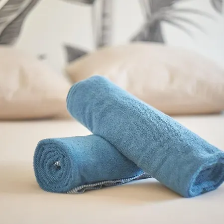 Apartamento Le Petit Villon- Maison De La Danse-montplaisir