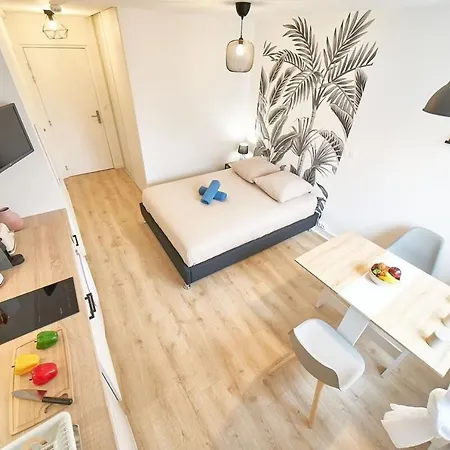 Le Petit Villon- Maison De La Danse-montplaisir Apartamento *